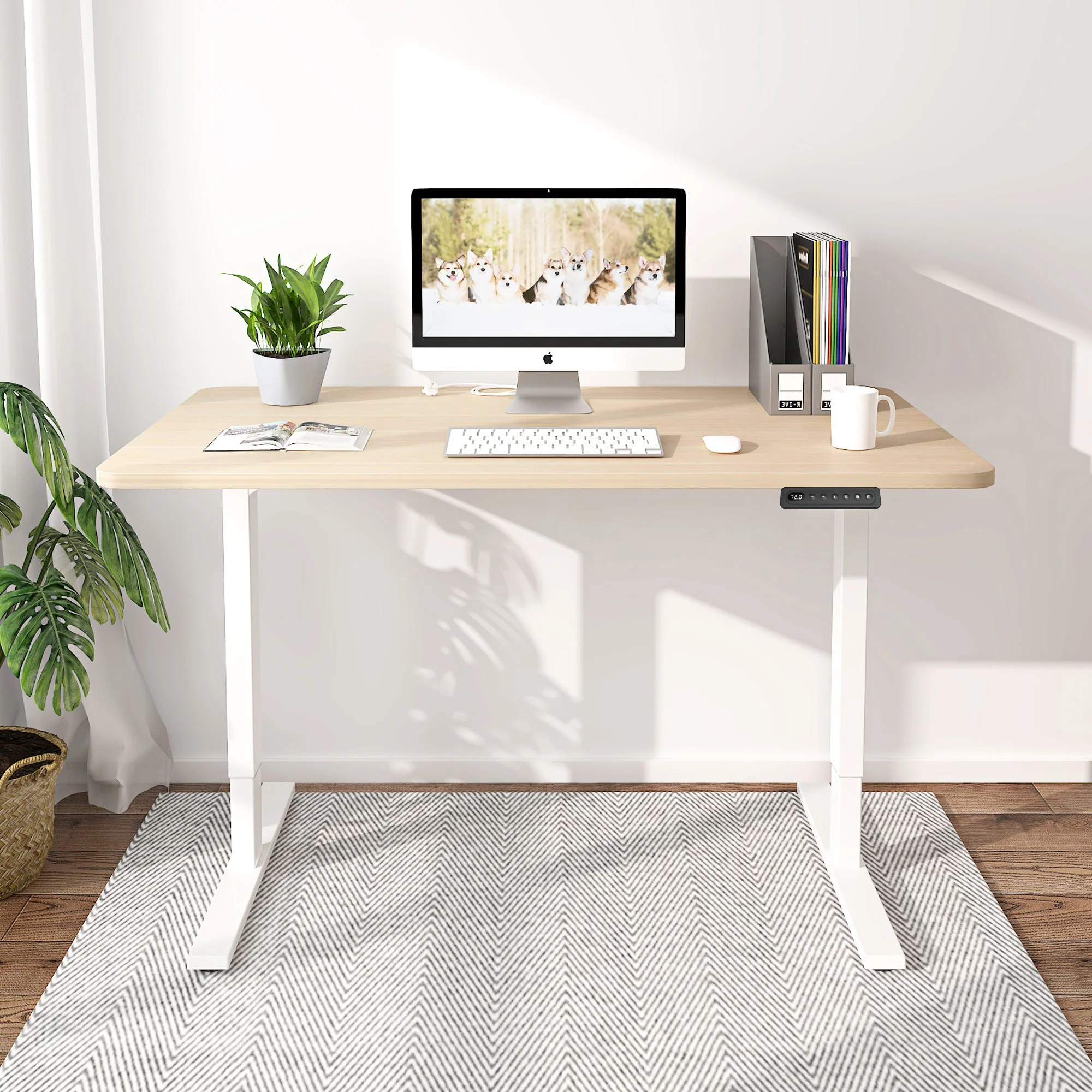 Maidesite Pro Series 48 Inch Height Adjustable Electric Standing Desk