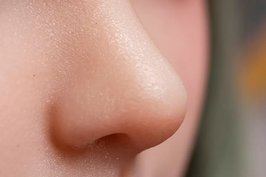 sex doll RC150cm / 4ft11 Natural Skin Anime Elf Sex Doll - Dime Doll: Addilyn - R C