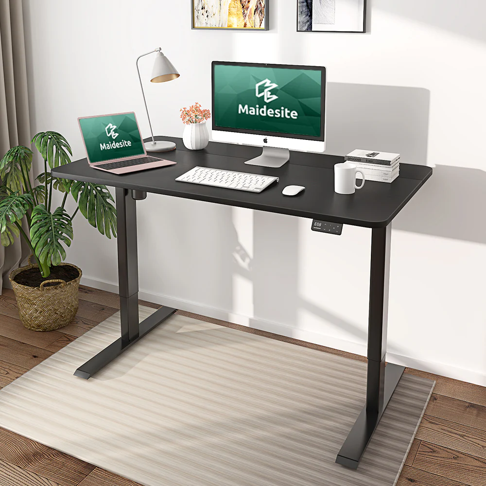 Maidesite Standard Series 55 Inch Stand Steady Electric Height Adjustable Standing Desk