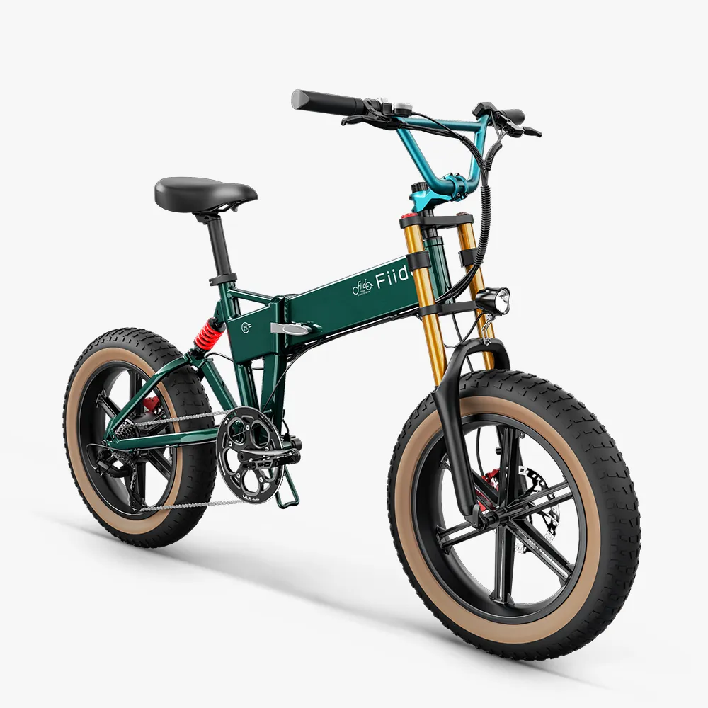 Fiido M1 Pro Electric Bike Big Wheel Fat Bike