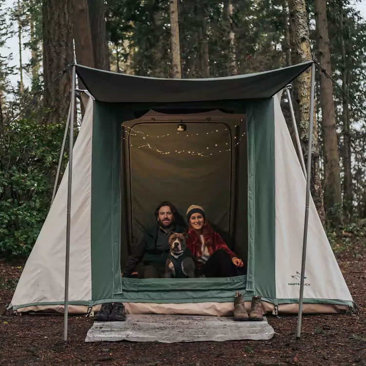 Prota Cabin Tent — Sleek, Spacious & Modern Cabin Tent with Easy Setup