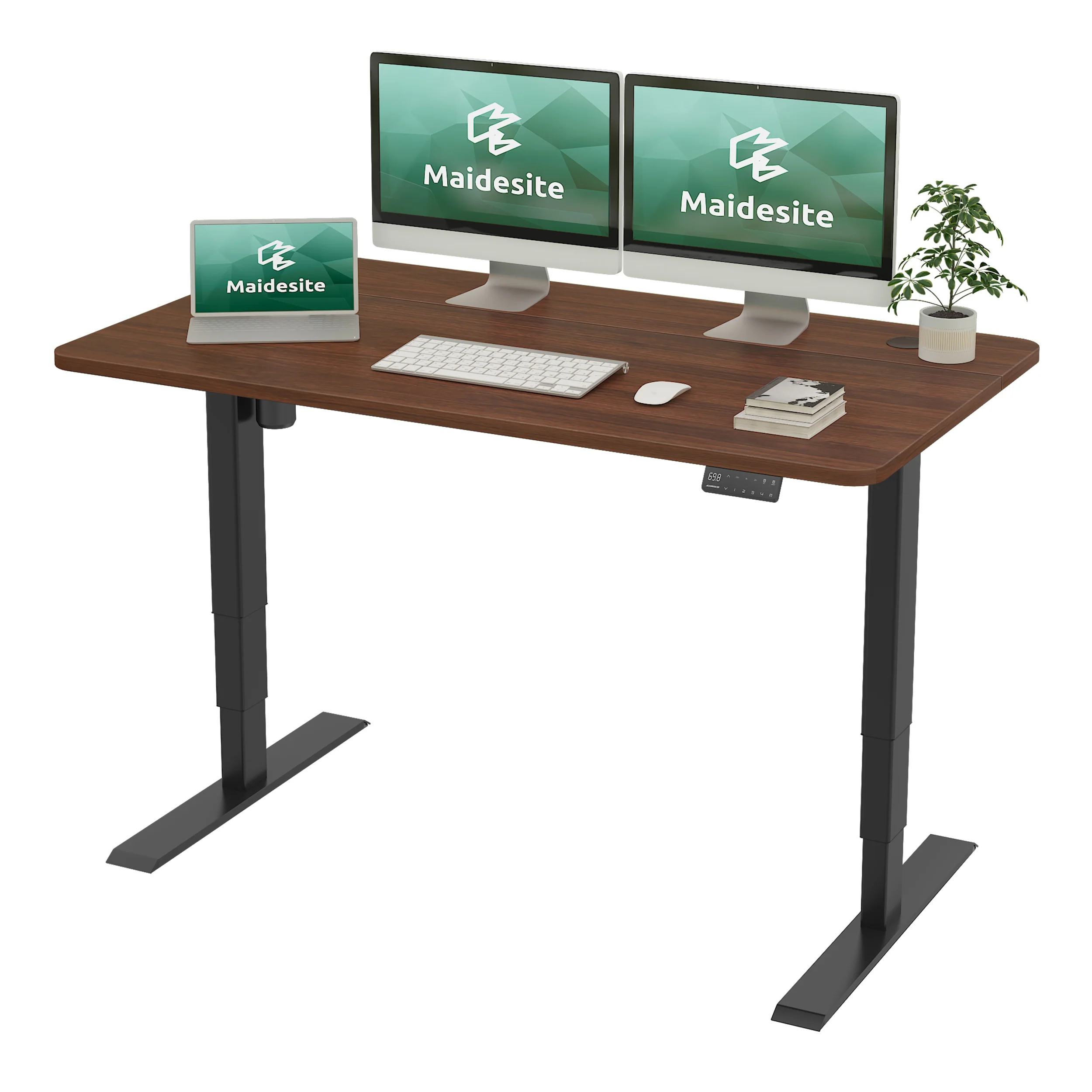 Maidesite Standard Series 55 inch Adjustable Electric Standing Desk Elite Edition
