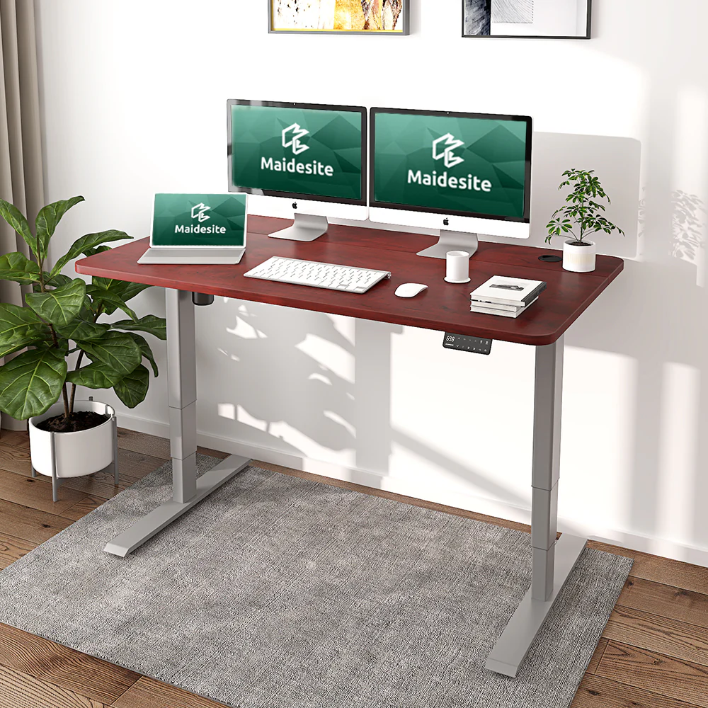 Maidesite Standard Series 55 inch Adjustable Electric Standing Desk Elite Edition