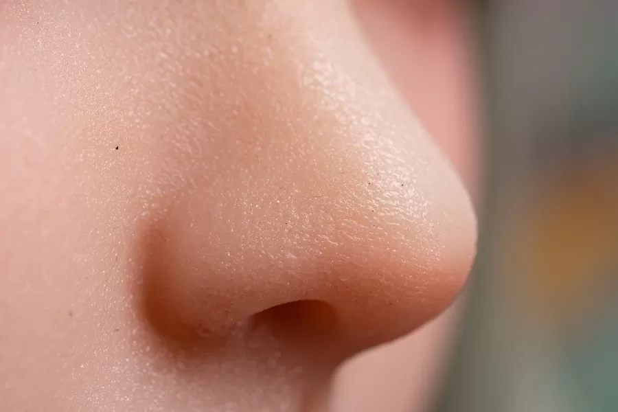 sex doll RC150cm / 4ft11 Natural Skin Anime Elf Sex Doll - Dime Doll: Addilyn - R C