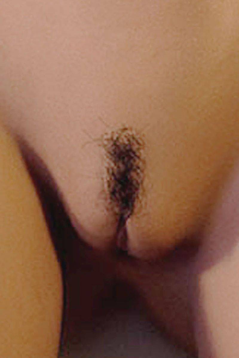 sex doll RCWM Doll Upgrade: Pubic Hair Implant - R C