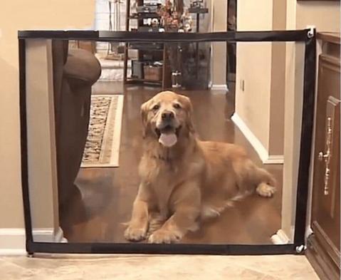 Portable Folding Magic Pet Gate
