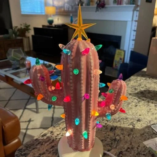 Vintage Ceramic Christmas Cactus – sweetwished