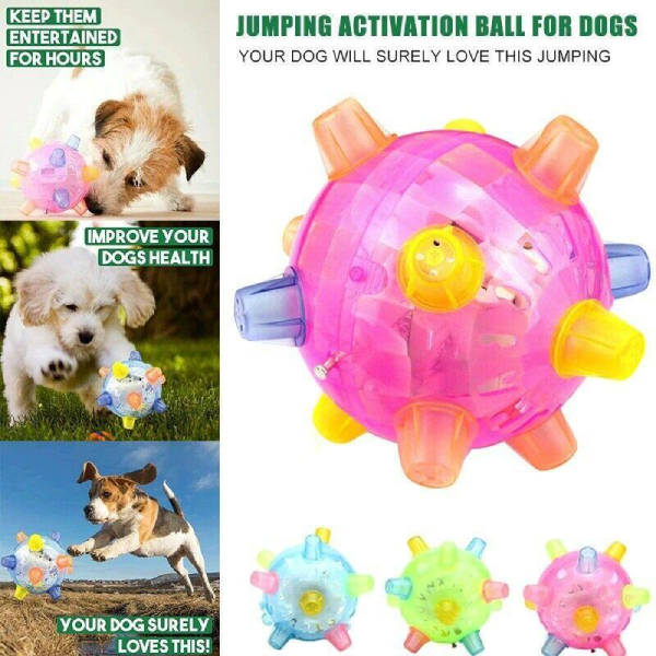 Jumping Activation Ball for Dogs