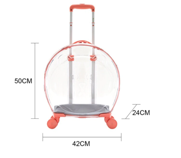 The Classic Taste Original Total Transparent Pet Carrier