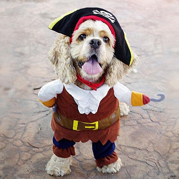 Dog Halloween Pirate Costume