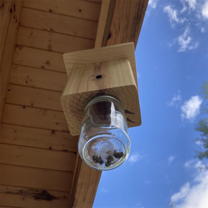 Wooden Carpenter Bee Trap