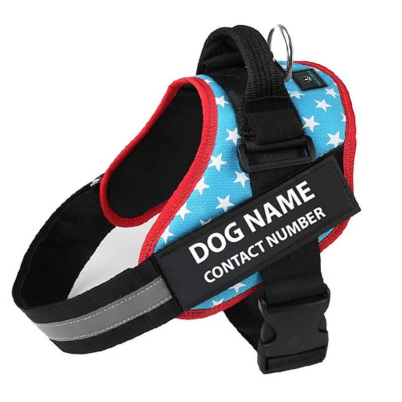 Personalized No Pull Dog Harness