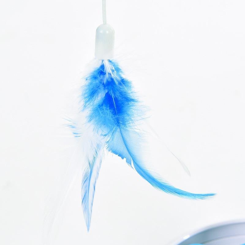 For All The Cats Who Love Feathers
