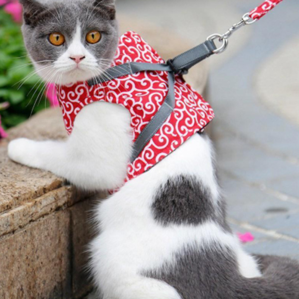 Pet Dog Cat Harness Vest Collar Outdoor Walking Leash Set