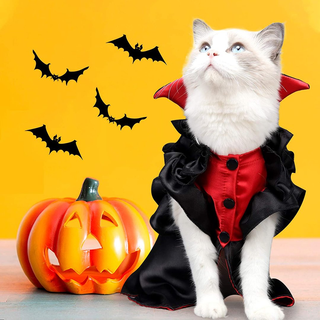 Cat Vampire Halloween Costume Holiday Dressing Up Cloak with Button for Kitten Small Medium Outfit Cosplay Decoration Party Suit