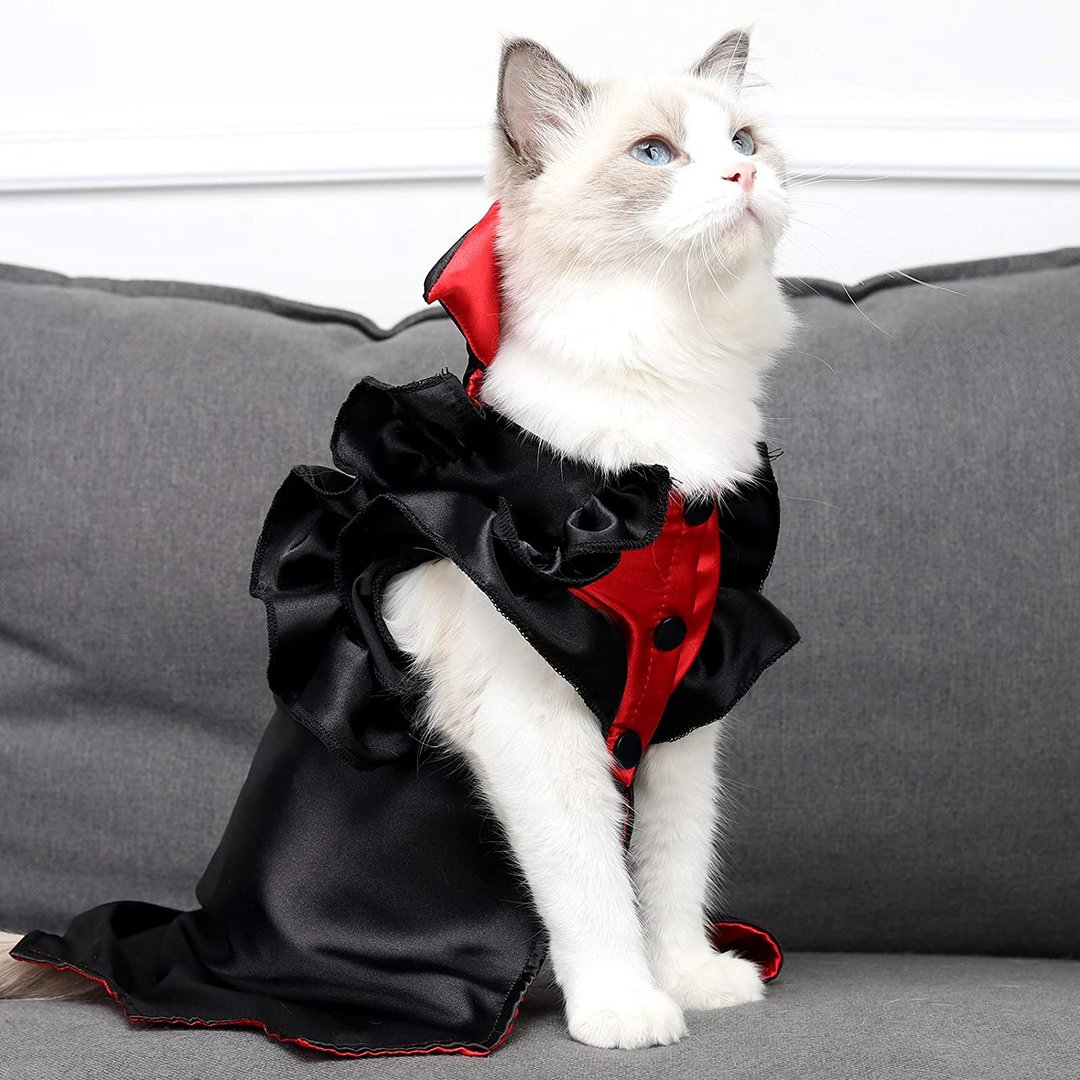 Cat Vampire Halloween Costume Holiday Dressing Up Cloak with Button for Kitten Small Medium Outfit Cosplay Decoration Party Suit