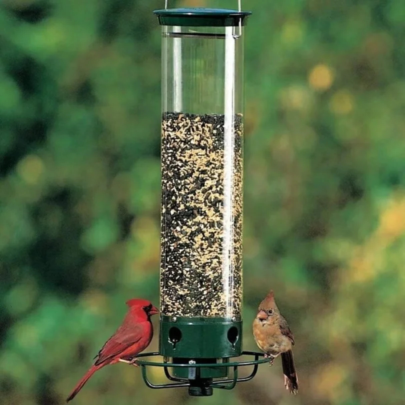 New Spring 2023 Squirrel-Proof Bird Feeder