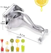 Easy Fruit Juicer