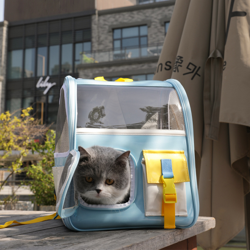 astronaut backpack Portable Transparent Cat Backpack For Outing