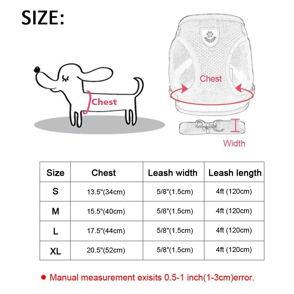 Kitten Harness And Leash Set&