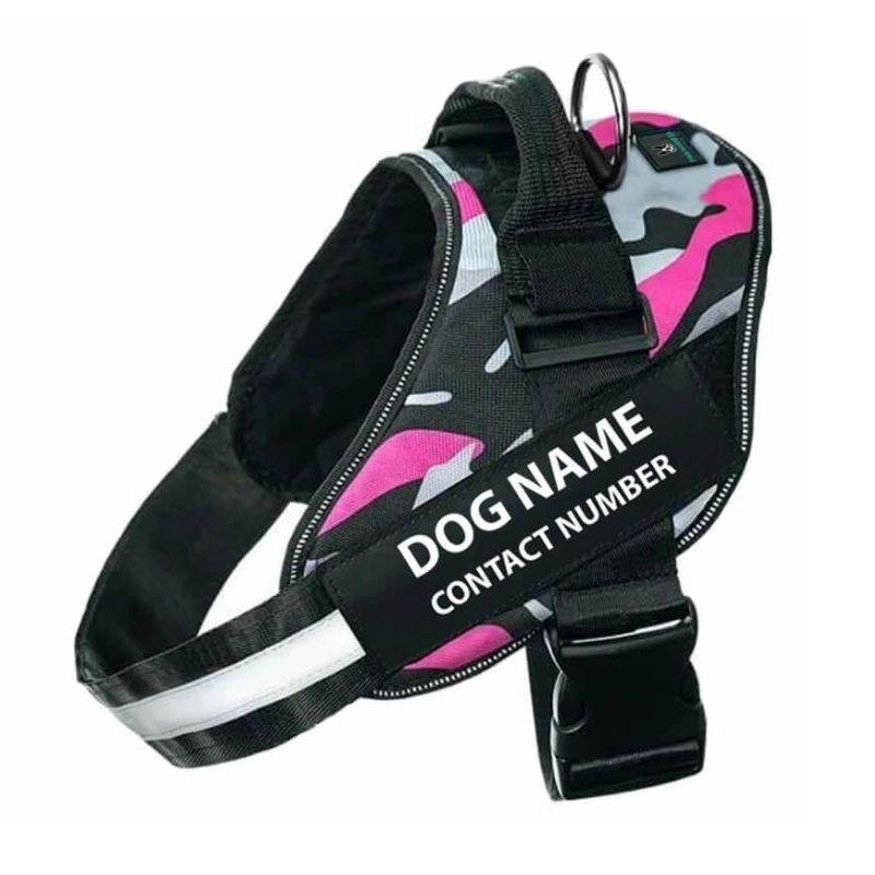 Personalized No Pull Dog Harness