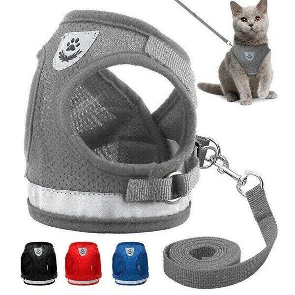 Kitten Harness And Leash Set&