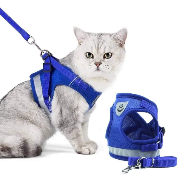 Kitten Harness And Leash Set&