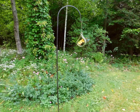 Handmade Spike Bird Feeder for Fruit or Suet