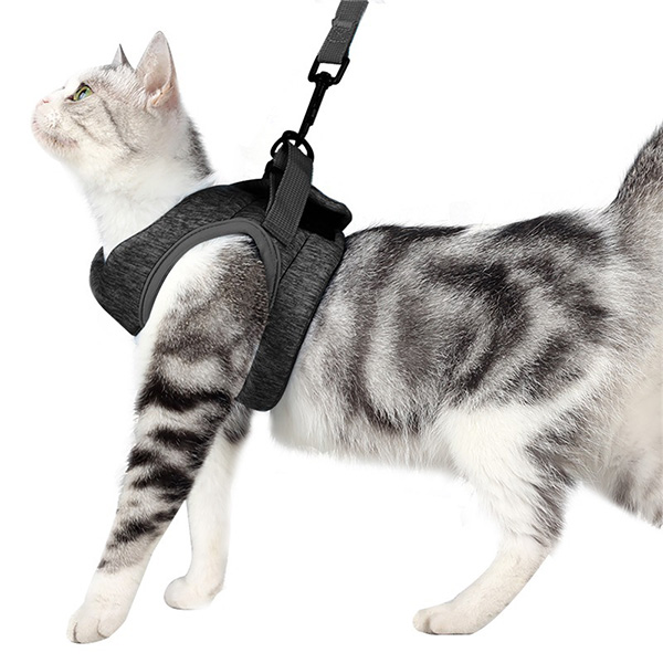 Cat Sling Cat Leash