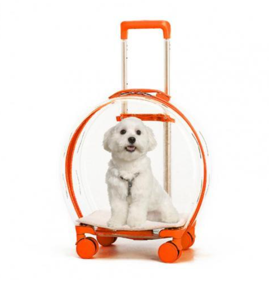The Classic Taste Original Total Transparent Pet Carrier