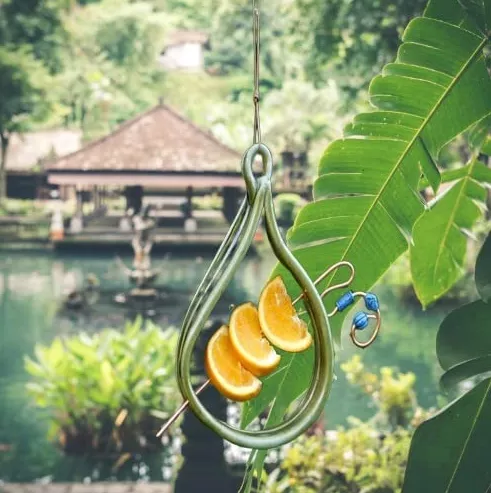 Handmade Spike Bird Feeder for Fruit or Suet