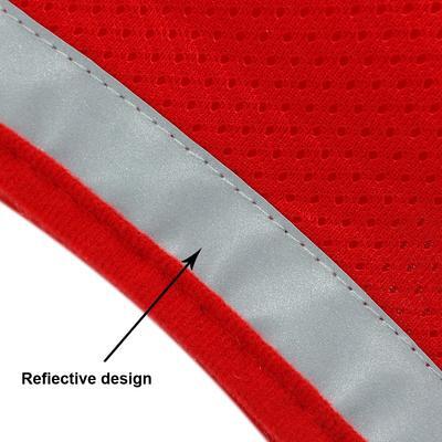 Kitten Harness And Leash Set&