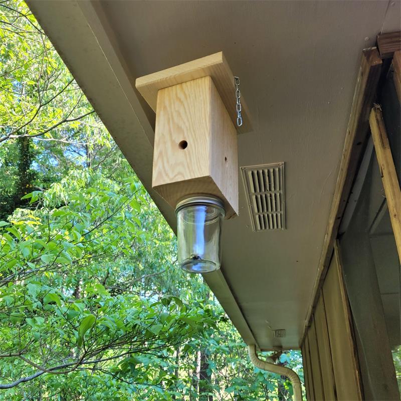 Wooden Carpenter Bee Trap