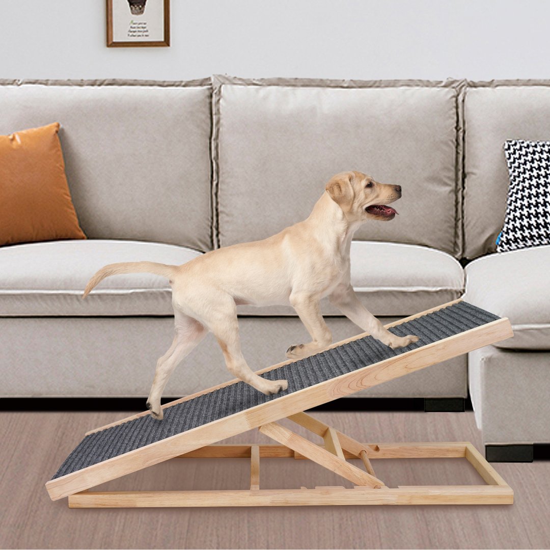 The PawRamp Lite-Natural, Adjustable Dog Ramp