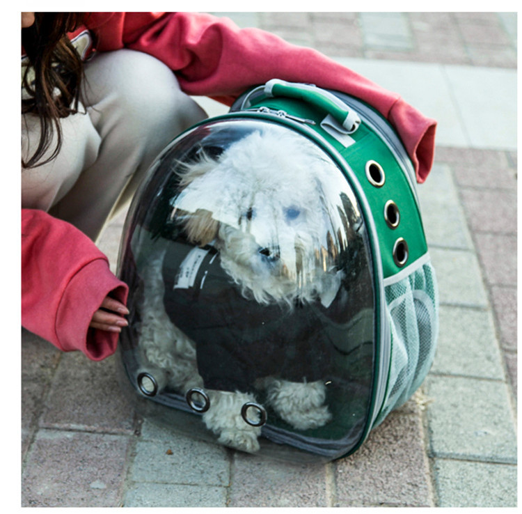 Transparent Cat Bag Multifunctional Expandable Space Capsule Pet Bag