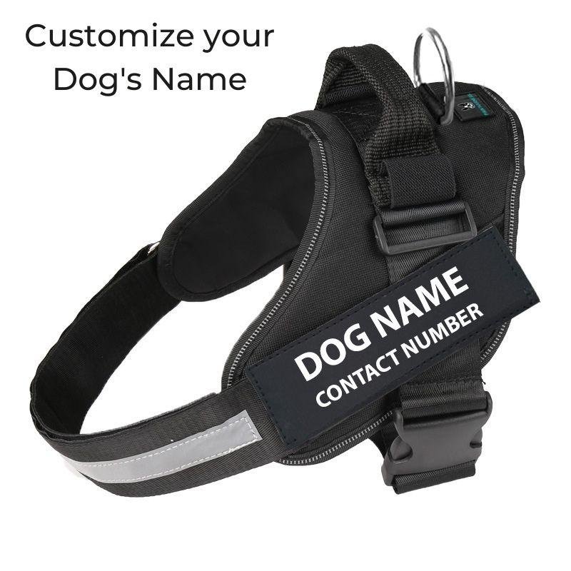 Personalized No Pull Dog Harness