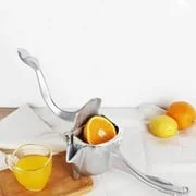 Easy Fruit Juicer