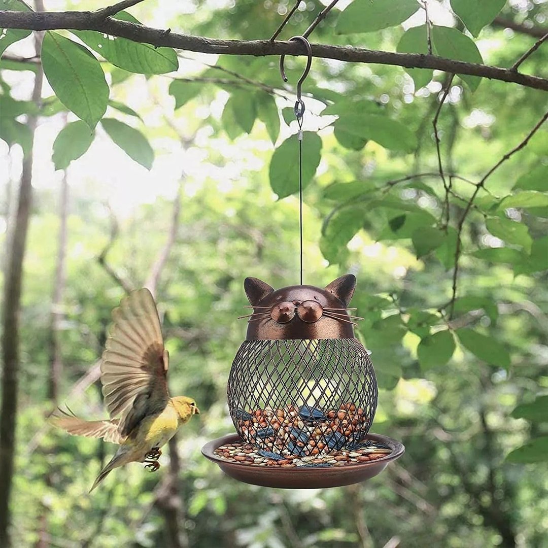 cat bird feeder bird feeder hanging nut bird feeder