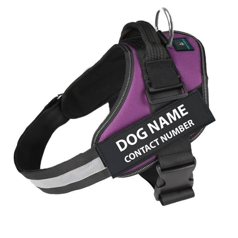 Personalized No Pull Dog Harness