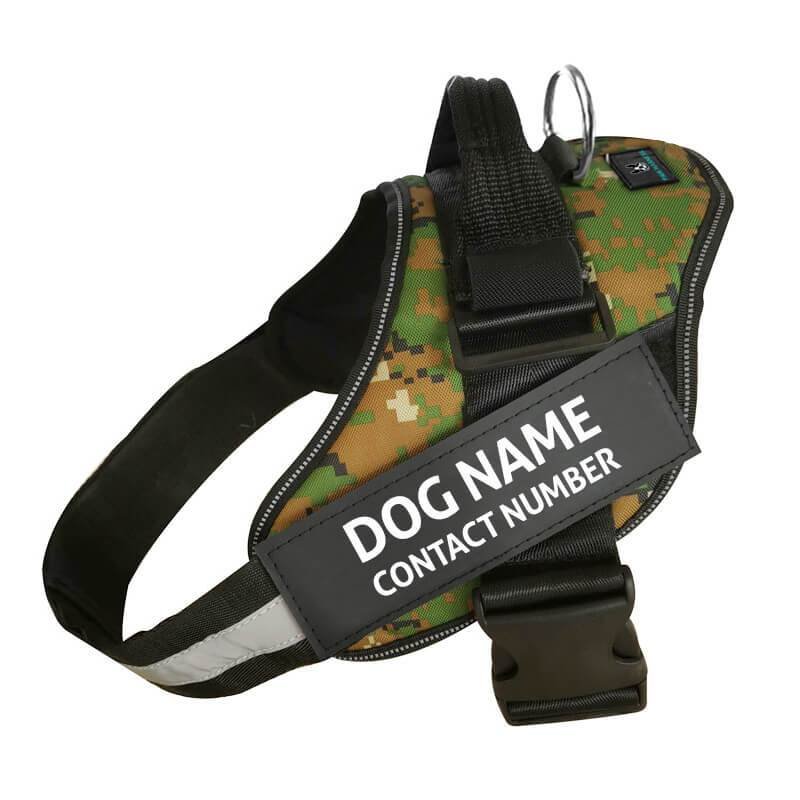 Personalized No Pull Dog Harness