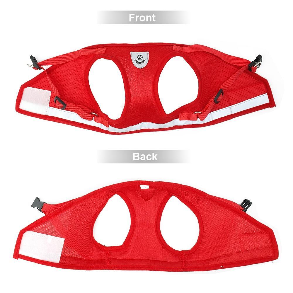 Kitten Harness And Leash Set&