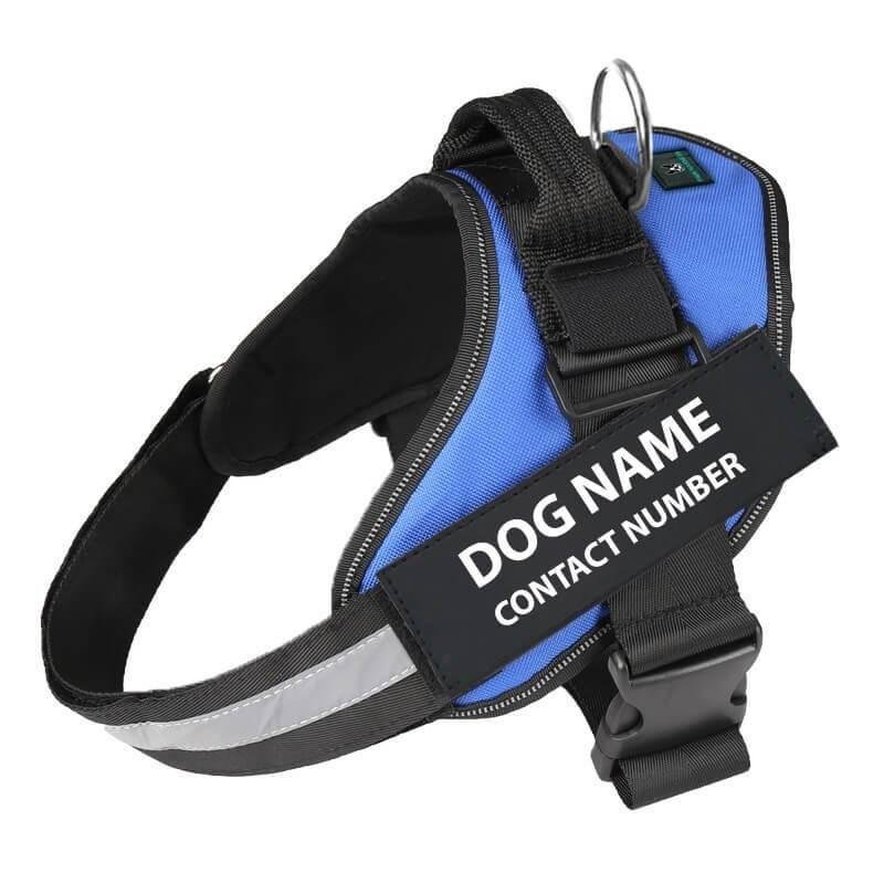 Personalized No Pull Dog Harness
