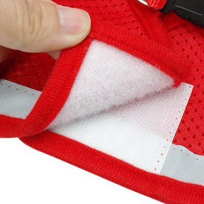 Kitten Harness And Leash Set&