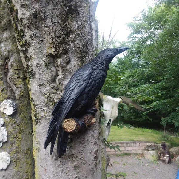 The Raven's Perch Wall