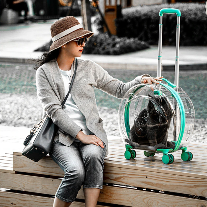 The Classic Taste Original Total Transparent Pet Carrier