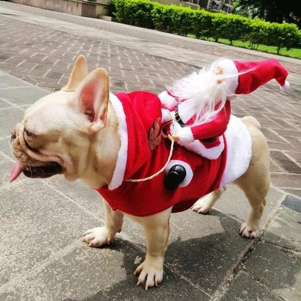 Christmas Pet Clothes-Santa Claus Riding Pet Cosplay Costumes