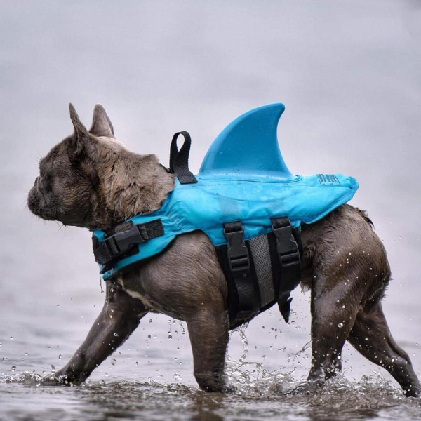 Dog Swimming Life Jacket Shark Dog Safety Life Jacket