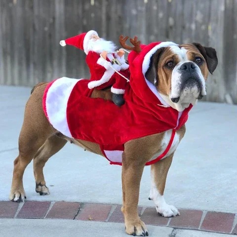 Christmas Pet Clothes-Santa Claus Riding Pet Cosplay Costumes