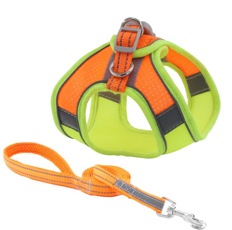 Escape Proof Cat Vest Harness and Leash Set