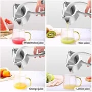 Easy Fruit Juicer
